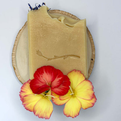 Plain Jane Artisan Soap